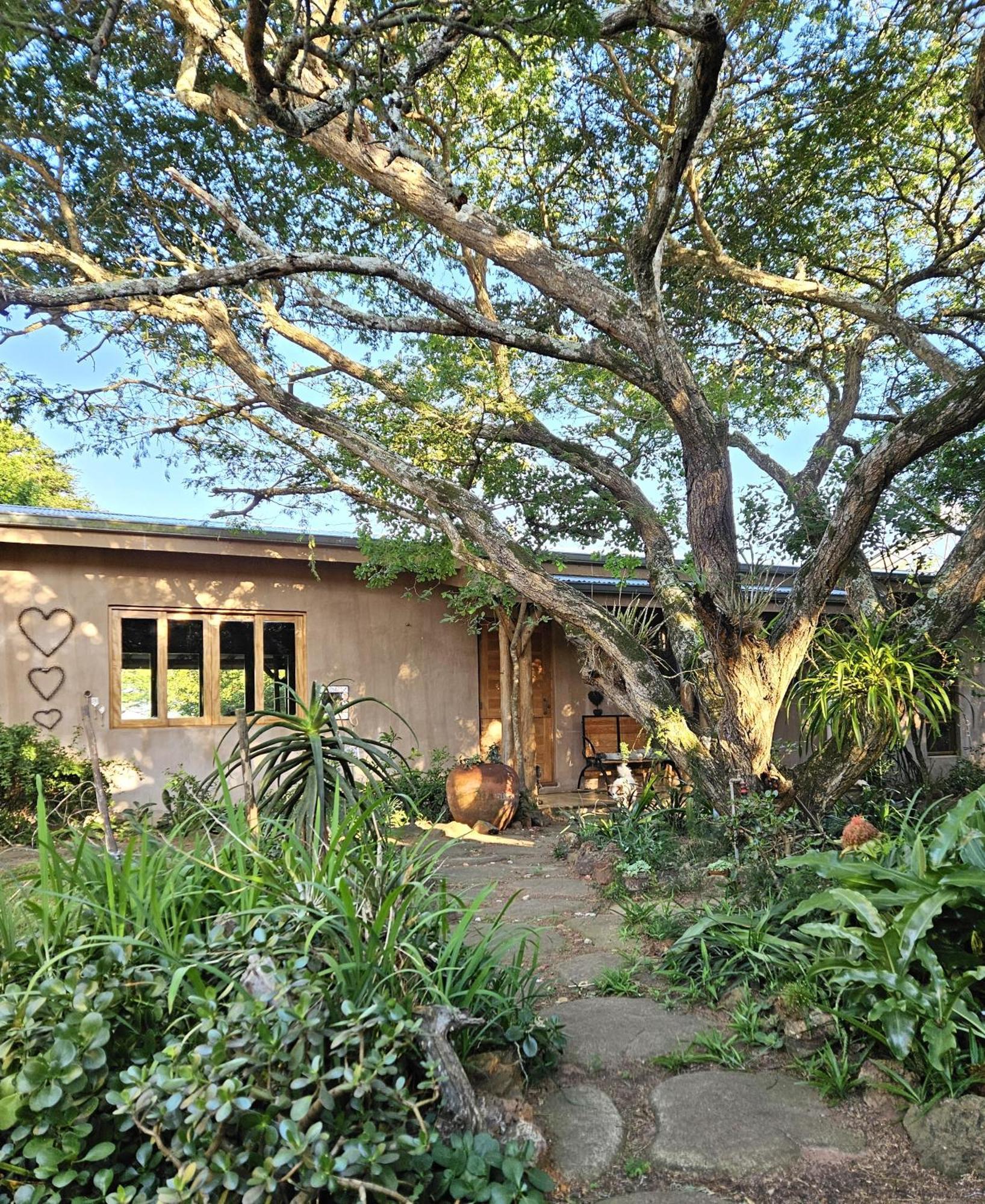 Tchagra House Villa Hluhluwe Kültér fotó